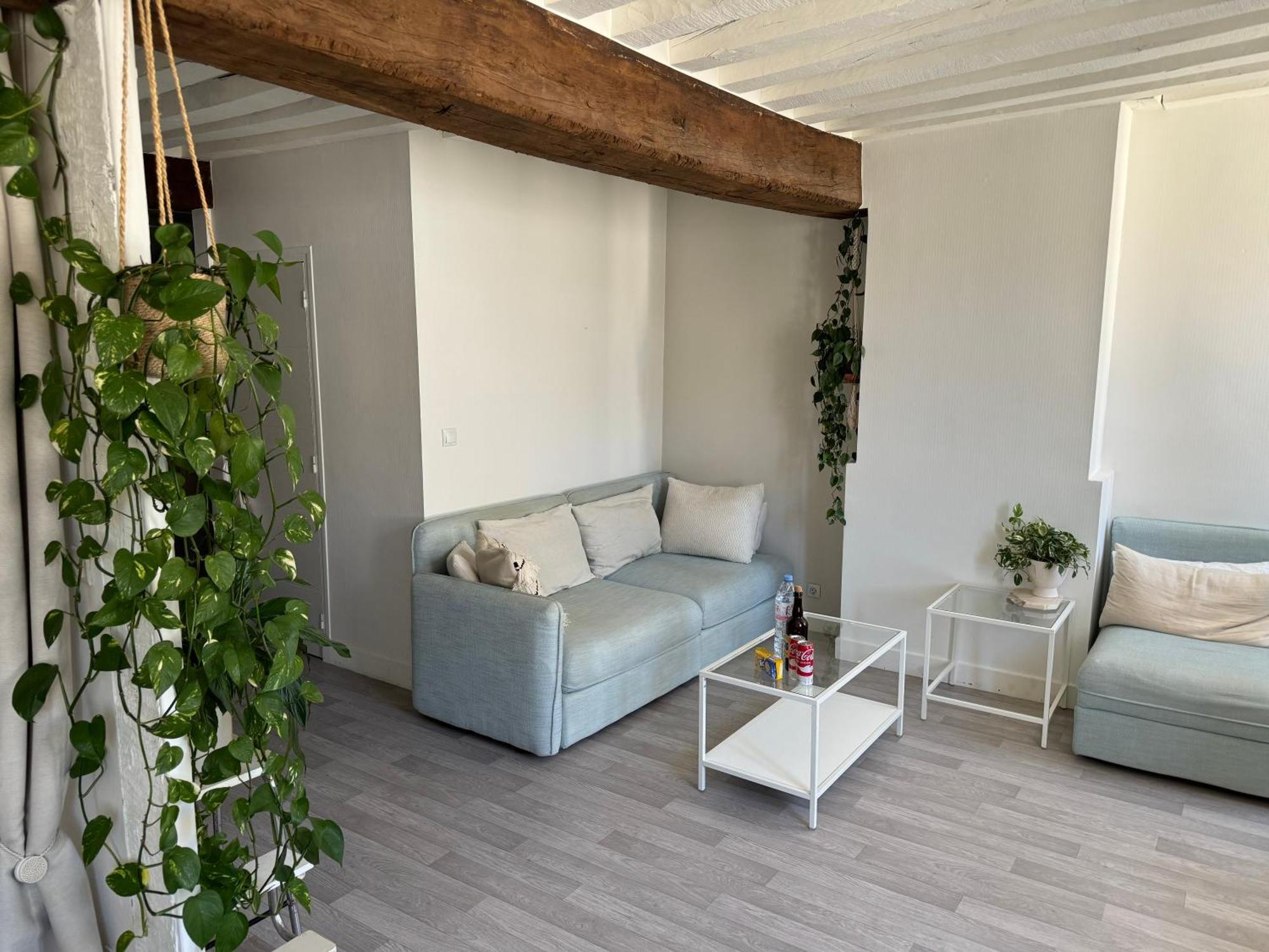 Appartement Central - Ορλεάνη Εξωτερικό φωτογραφία