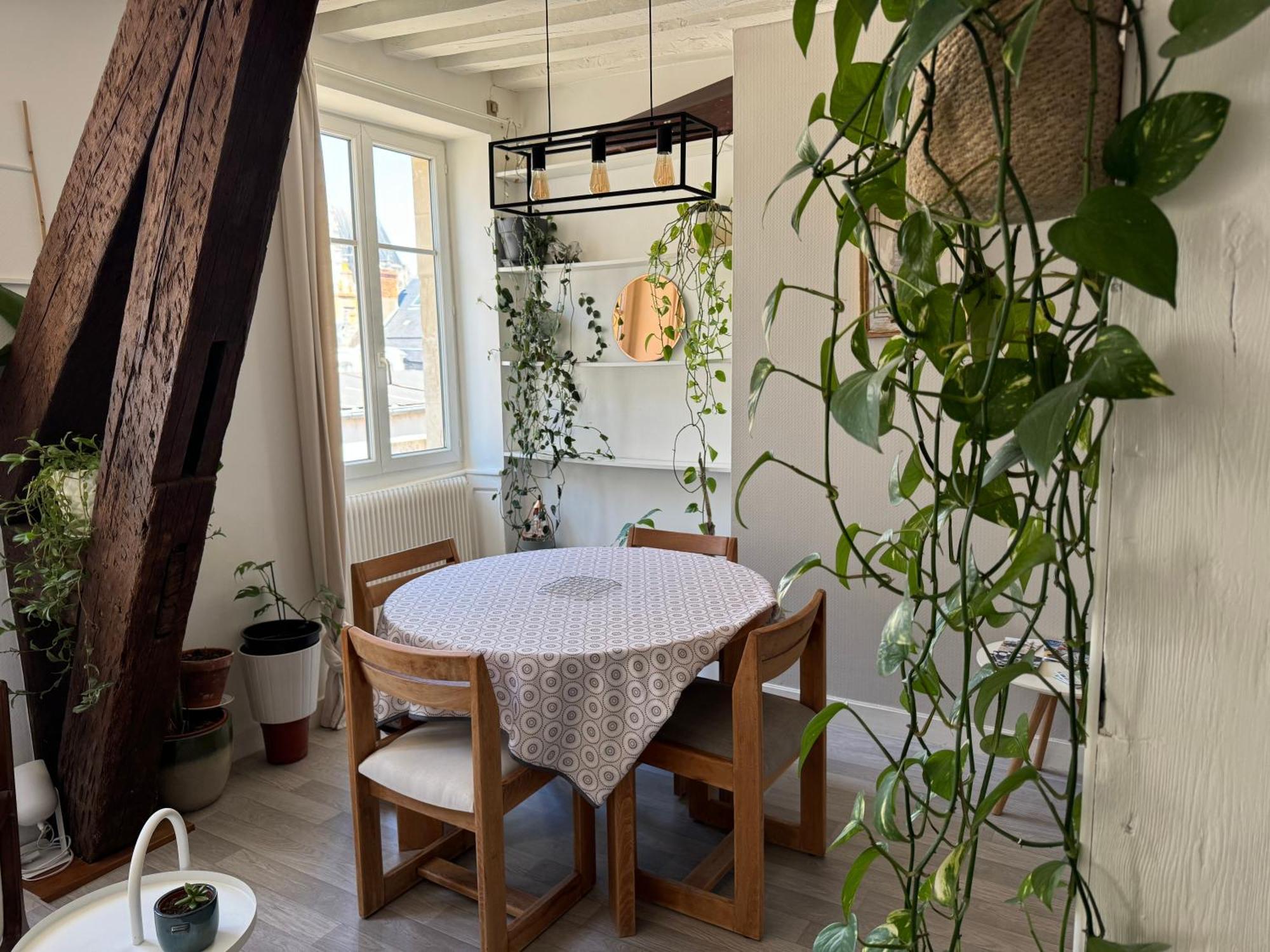Appartement Central - Ορλεάνη Εξωτερικό φωτογραφία