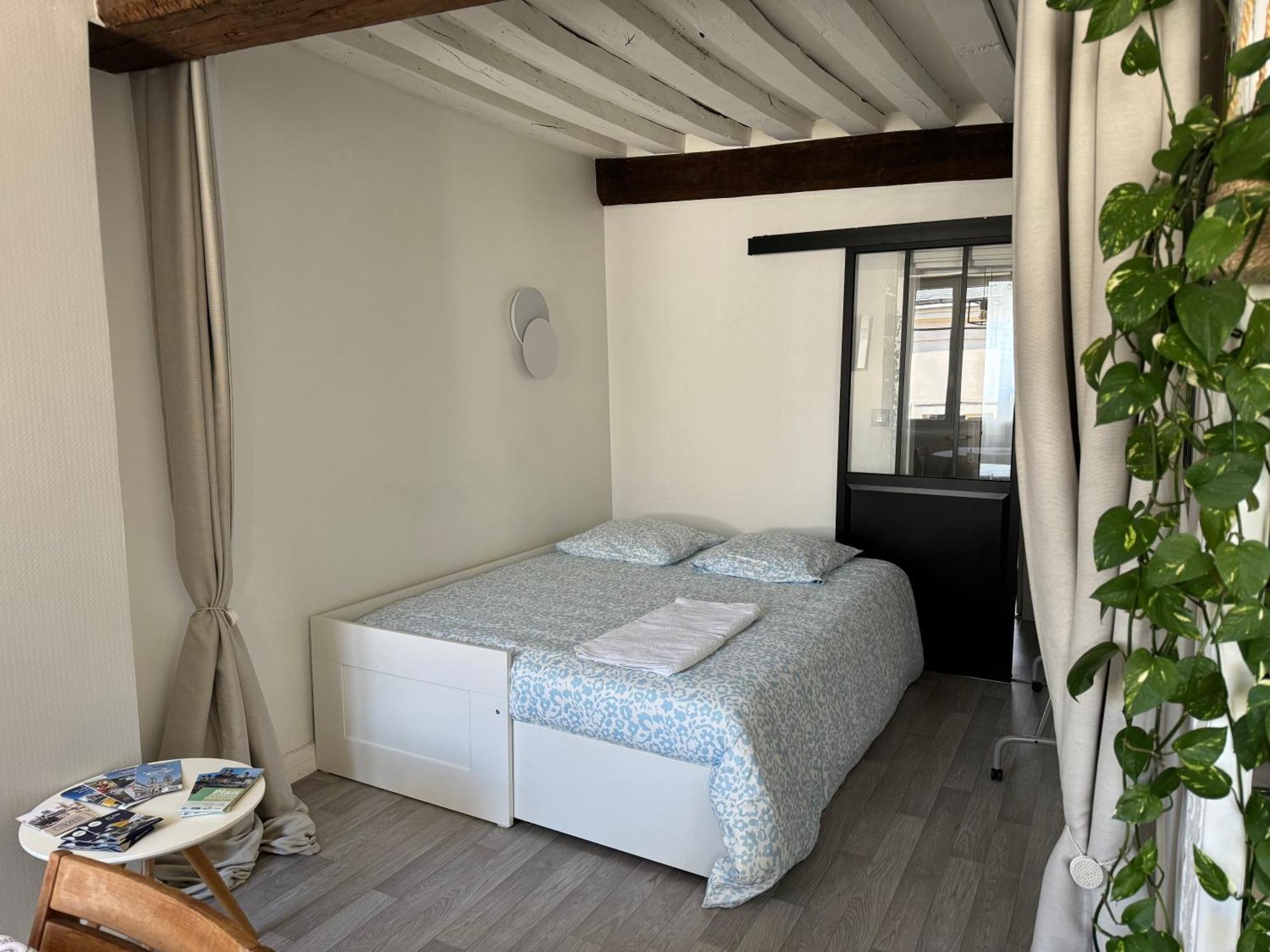 Appartement Central - Ορλεάνη Εξωτερικό φωτογραφία