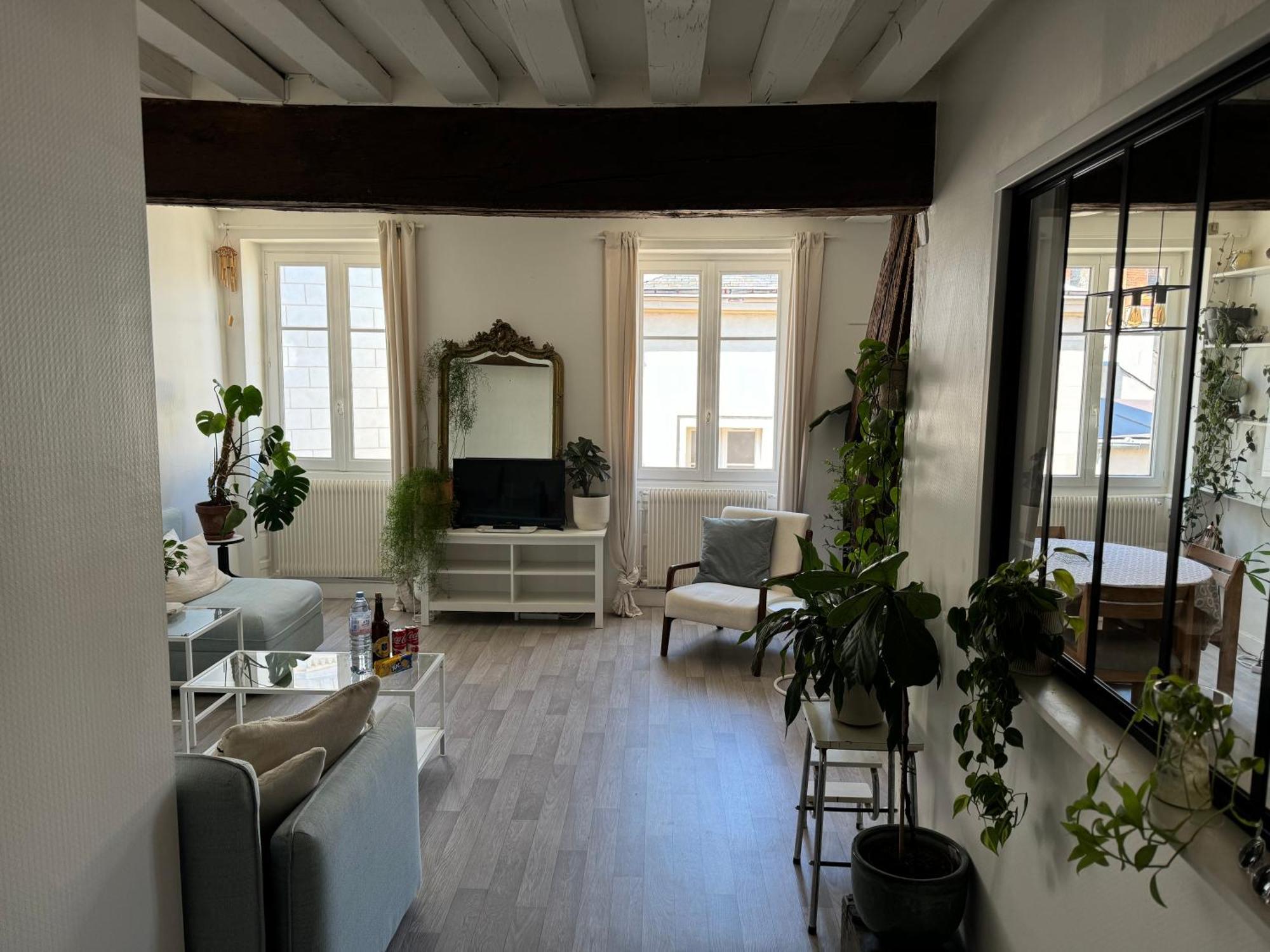 Appartement Central - Ορλεάνη Εξωτερικό φωτογραφία